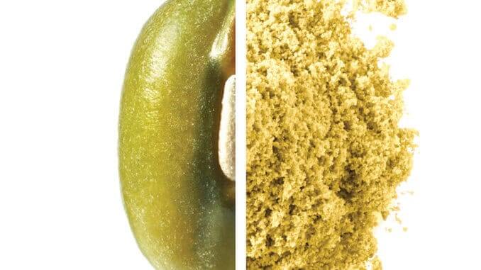 Mung Bean Protein JUST Mung Bean Protein JUST