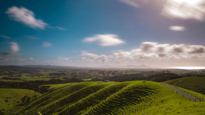 New Zealand, James Cameron, Peter Jackson, plant-based food business