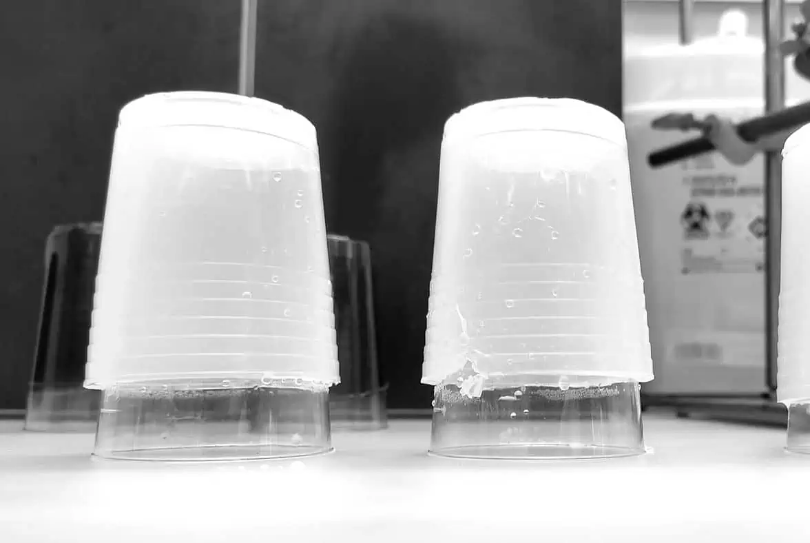 noriware's biodegradable algae cups