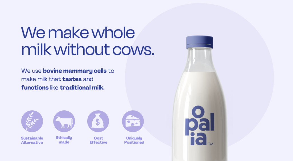 Opalia's Animal-Free Milk