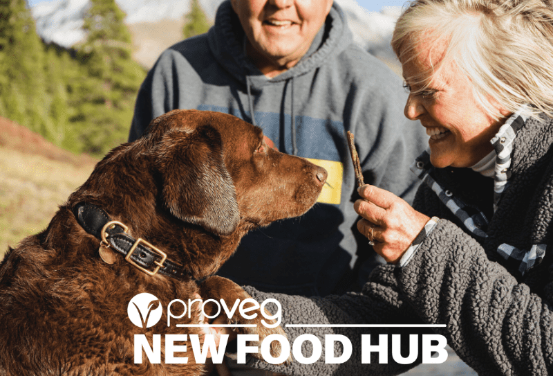 ProVeg NFH dog food