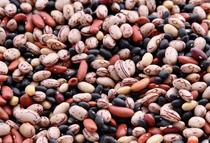 Close up shot of variety of pulses 