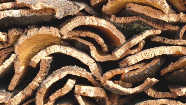 cork oak barks piled in a stock