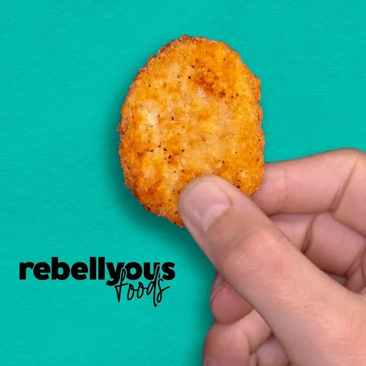 Rebellyous nugget