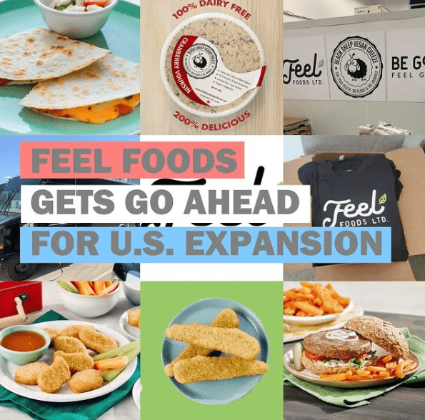 Feel Foods Holdings