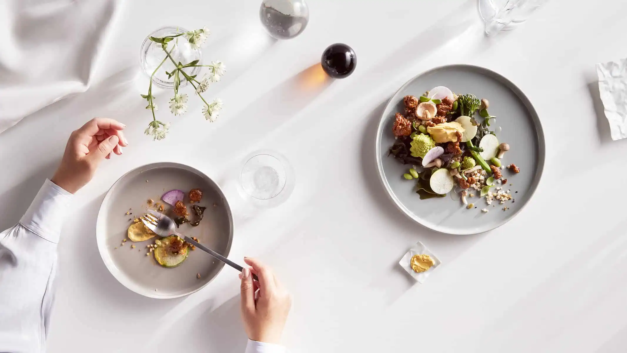 Solar Foods' protein Solein used in different dishes