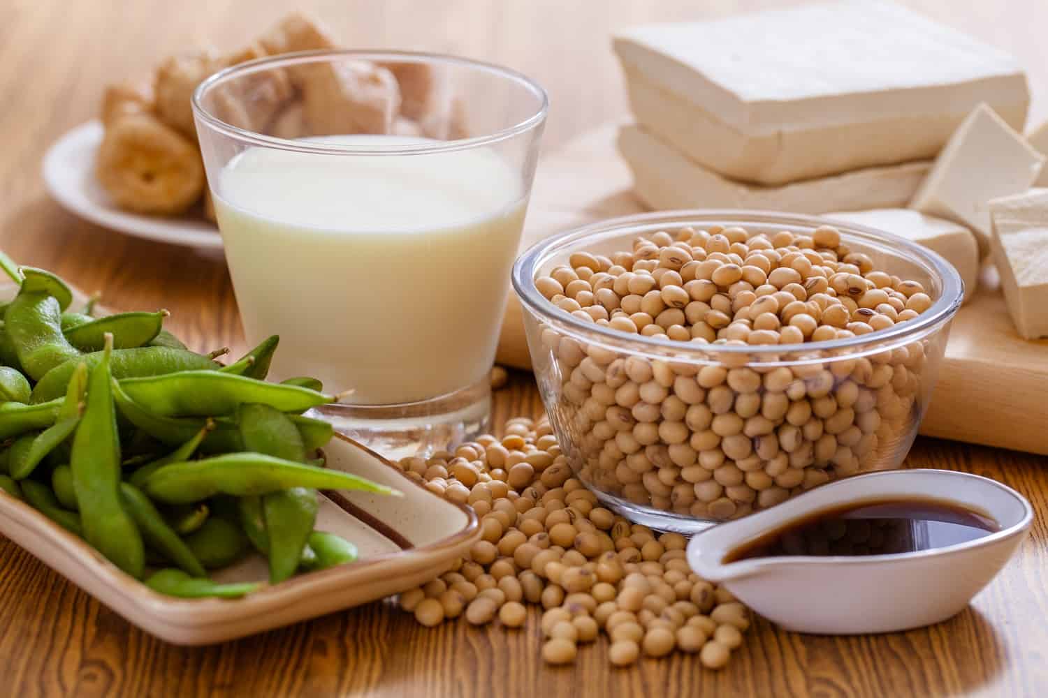 Soy bean, tofu and other soy products