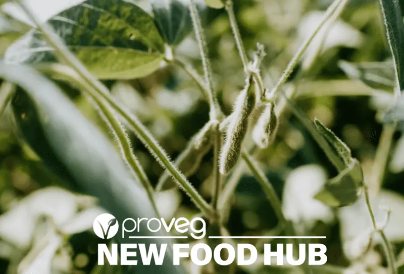 Soy crop ProVeg NFH