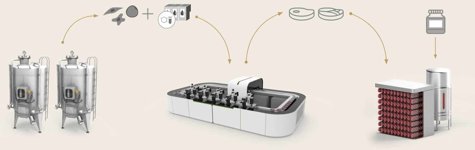 stakeholder's process for 3d printed cultivated meat
