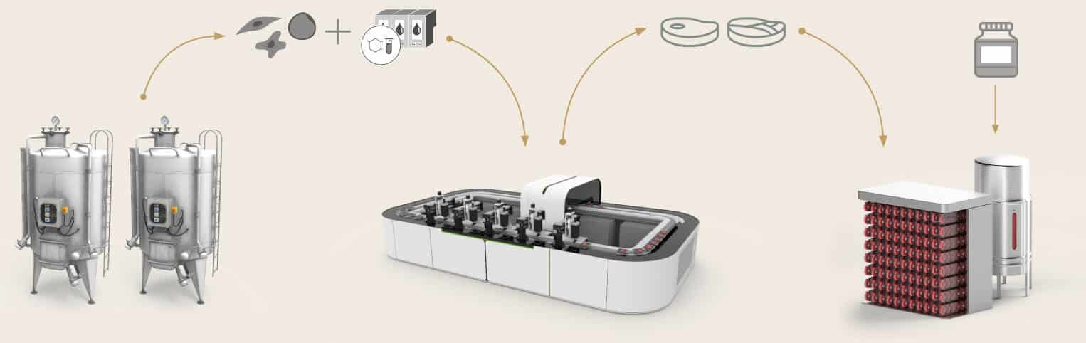 stakeholder's process for 3d printed cultivated meat 