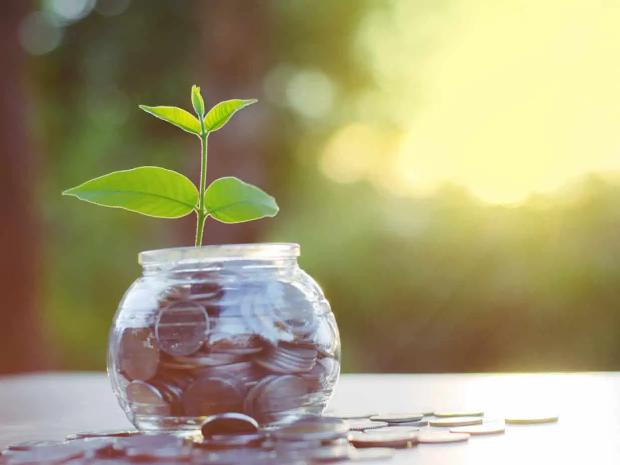 The Vegan Society Grants Programme
