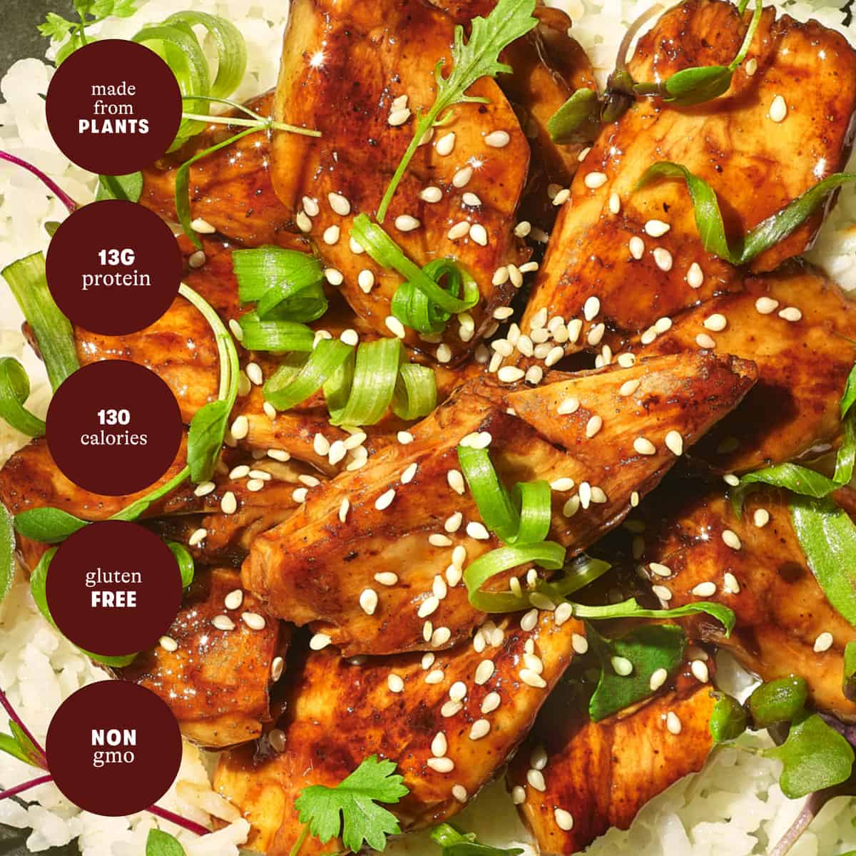 Daring Teriyaki Chicken