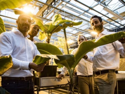 Management Team Tropic Biosciences