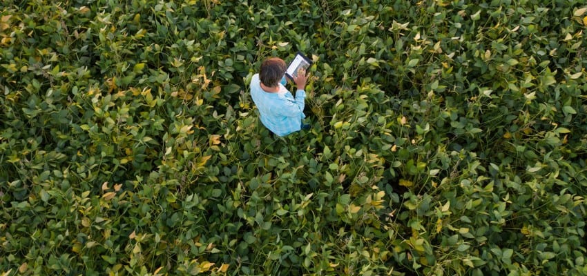 United Soybean Board