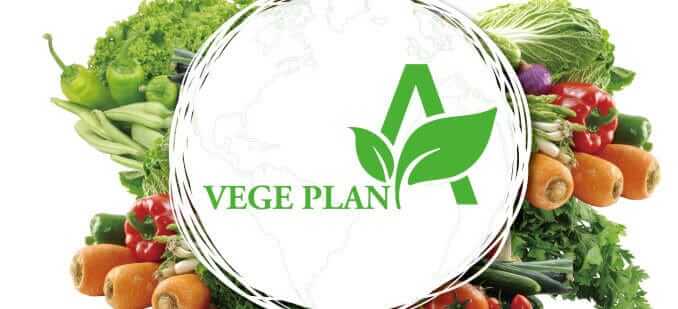 VegePlan Logo VegePlan Logo