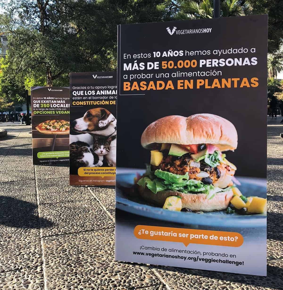 Vegetarianos Hoy, Chile