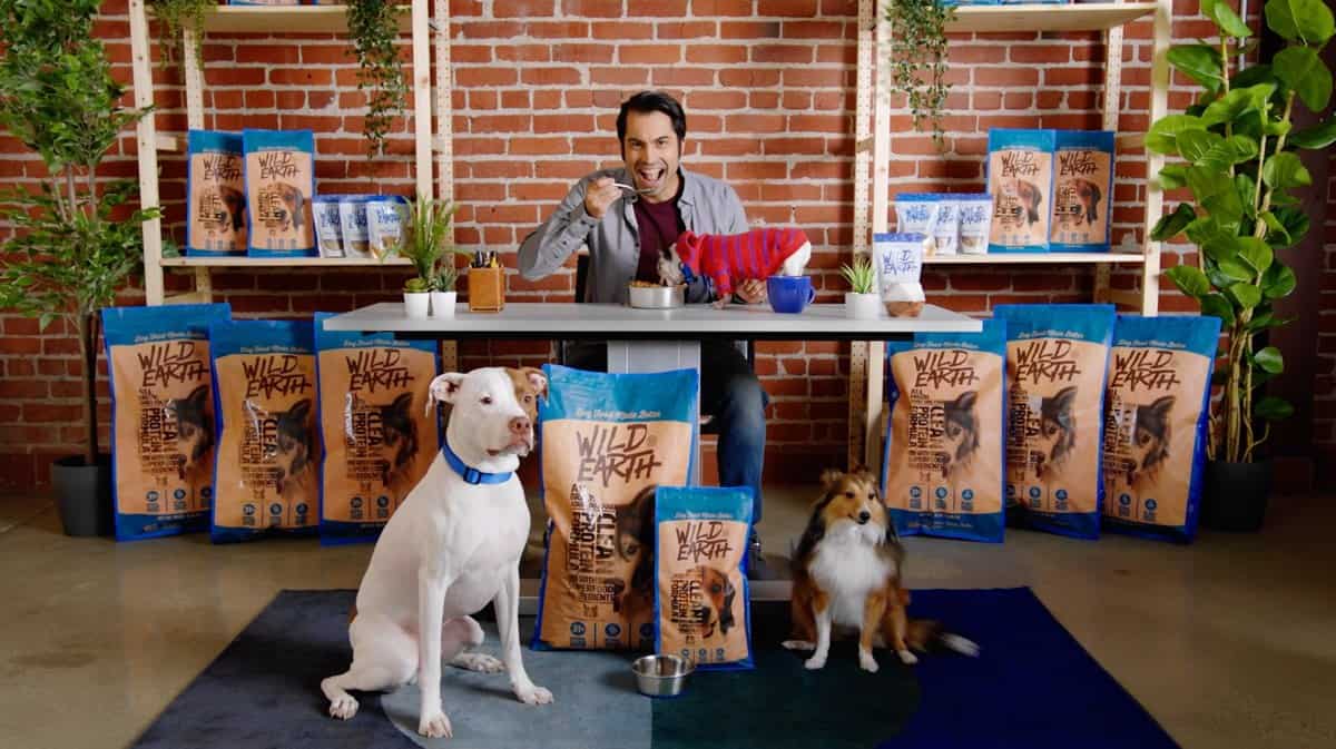 vegan dog food on shark tank