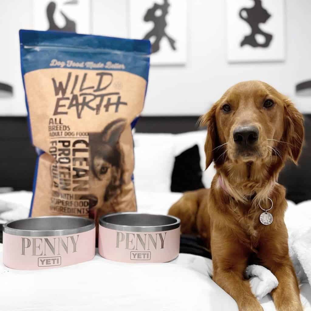 Wild earth dog hot sale food shark tank