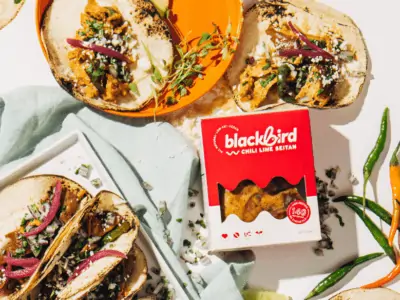 Blackbird Foods Chili Seitan