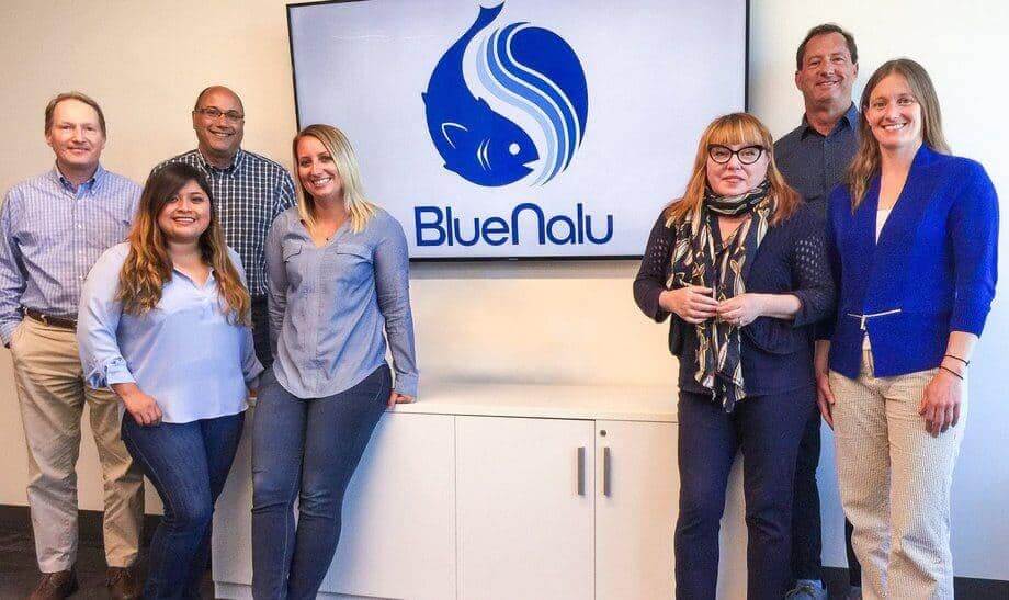 bluenalu team