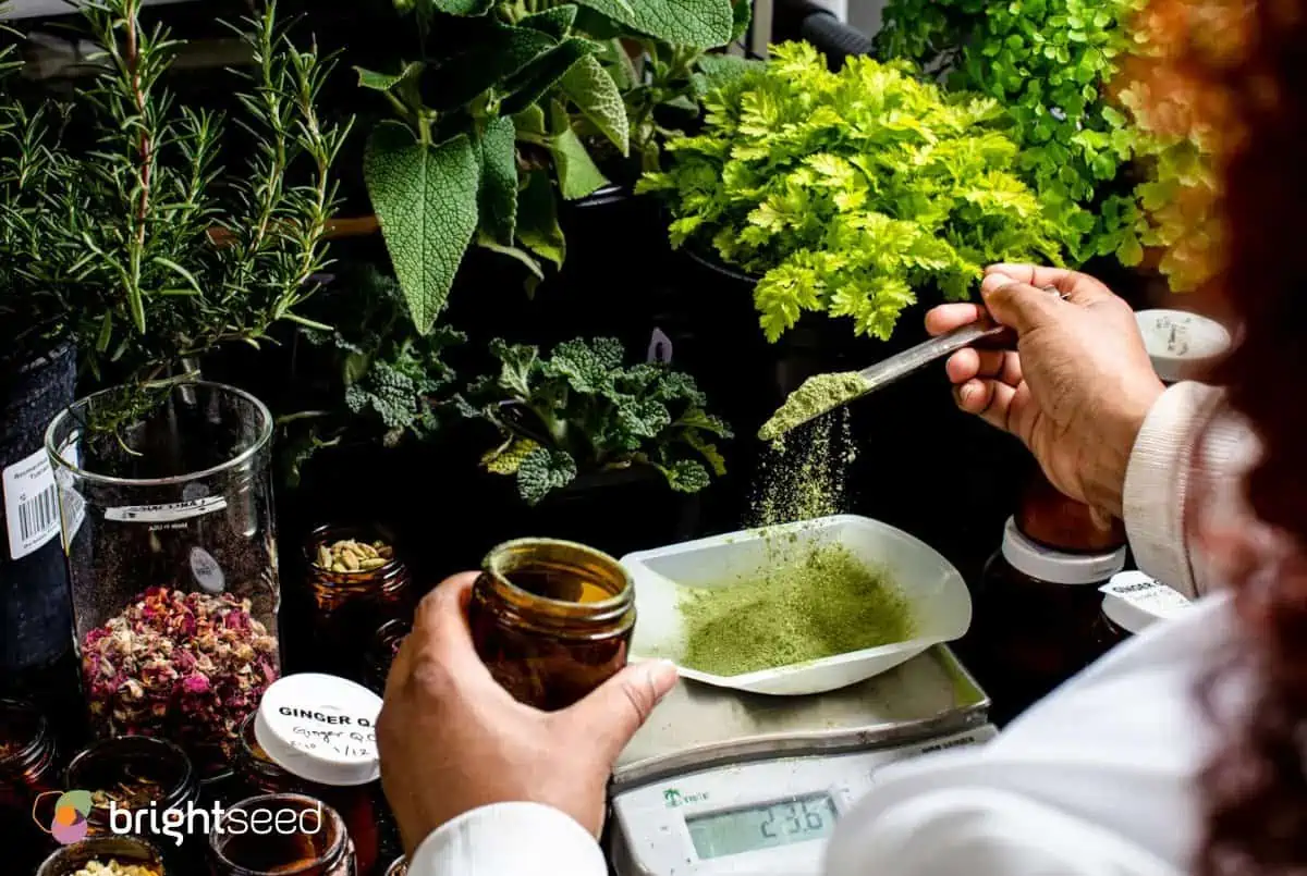Brightseed Plant Science