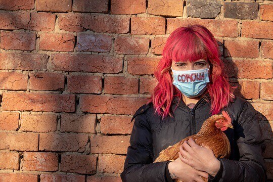 Girl with Corona mask holding chicken. As animal agriculture in China is the main cause of coronavirus, way to fight Corona spreading is to stop using animal products. Go vegan and stop pandemic.