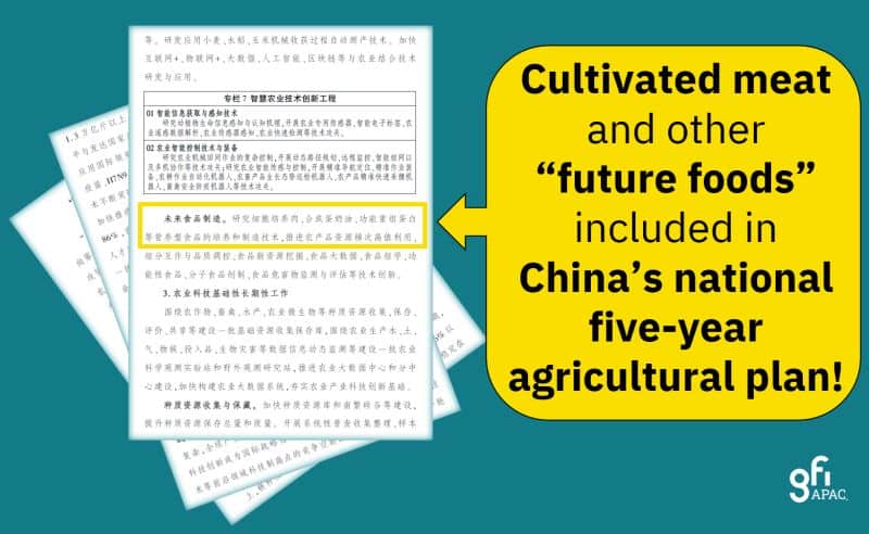 china's five-year agricultural plan