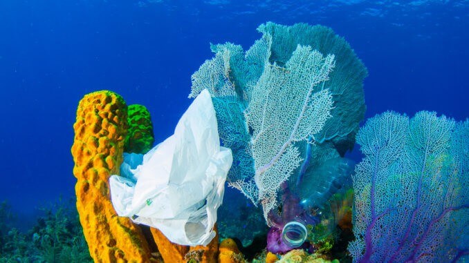 plastic on coral reef plastic on coral reef