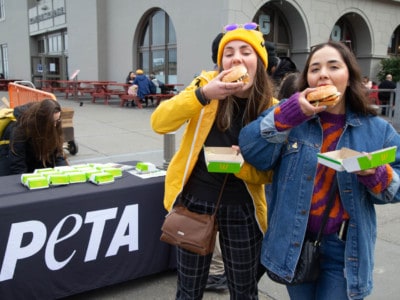 PETA McPlant Giveaway