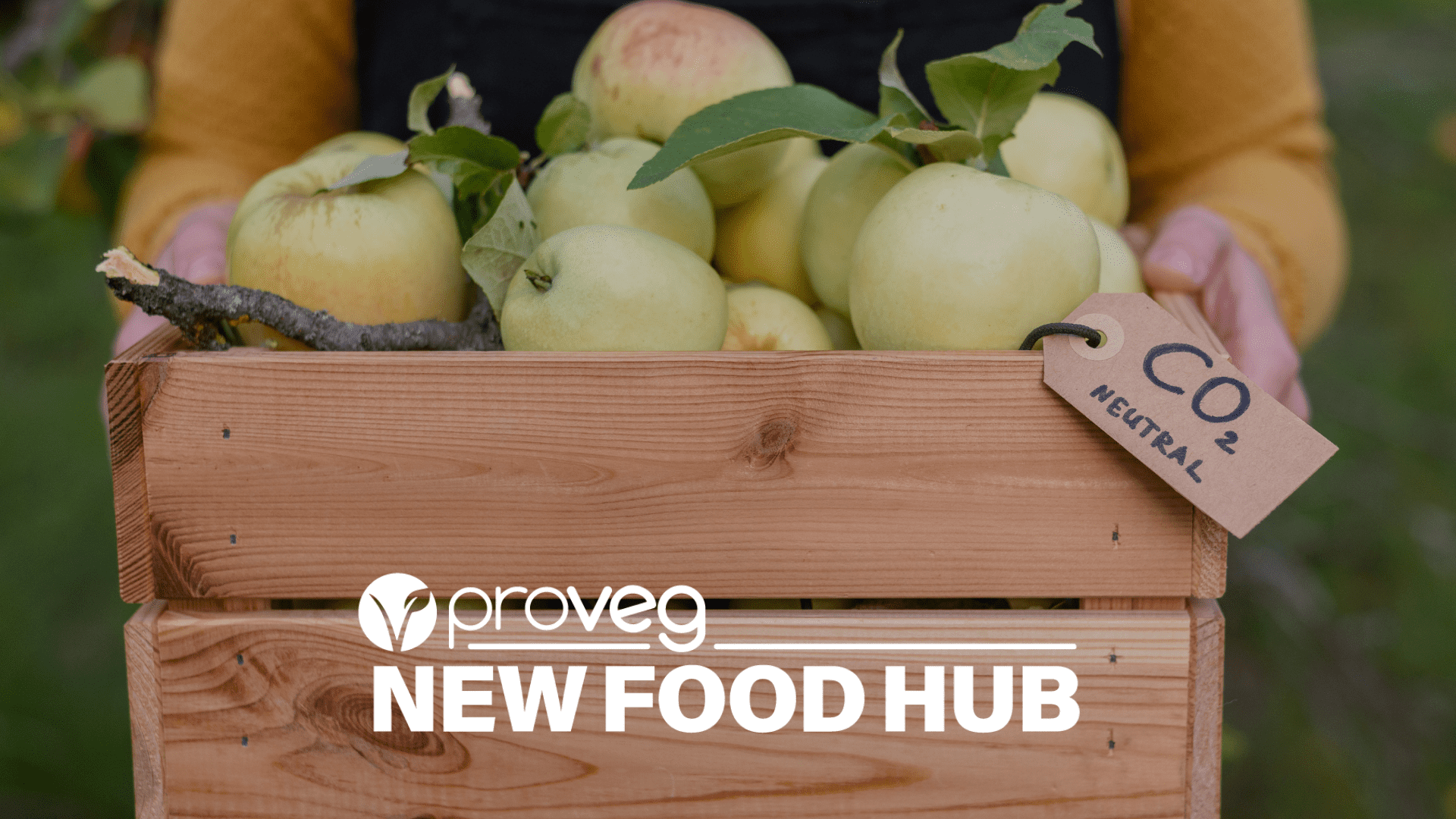 eco labelling ProVeg New Food Hub