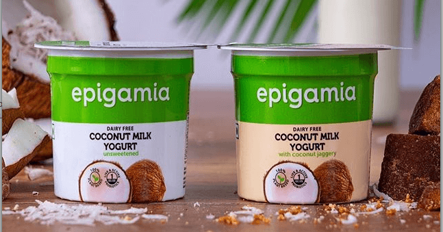 Coconut milk yogurt india