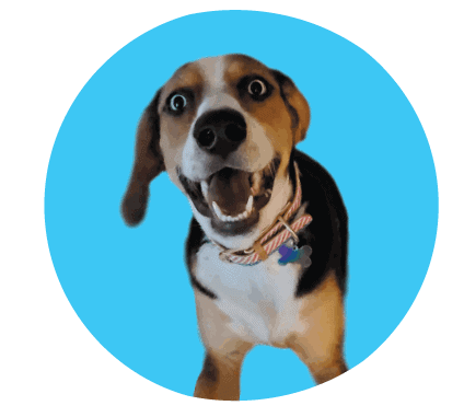dog unBAKED Pet Blends dog unBAKED Pet Blends
