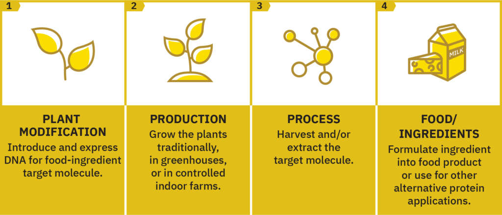 GFI plant molecular farming