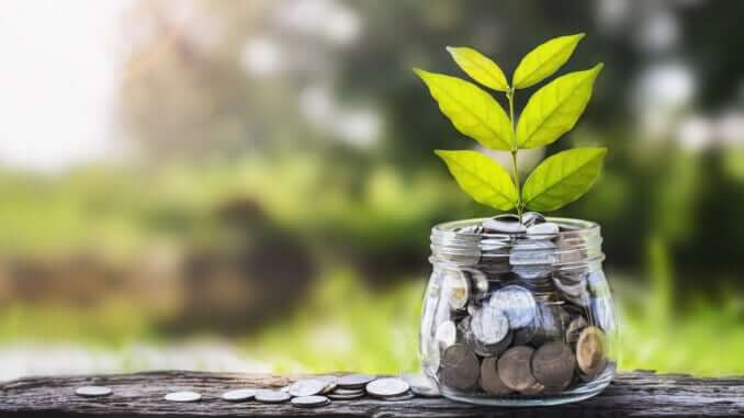 20 Millionen Pfund Investment für REBBL 20 Millionen Pfund Investment für REBBL