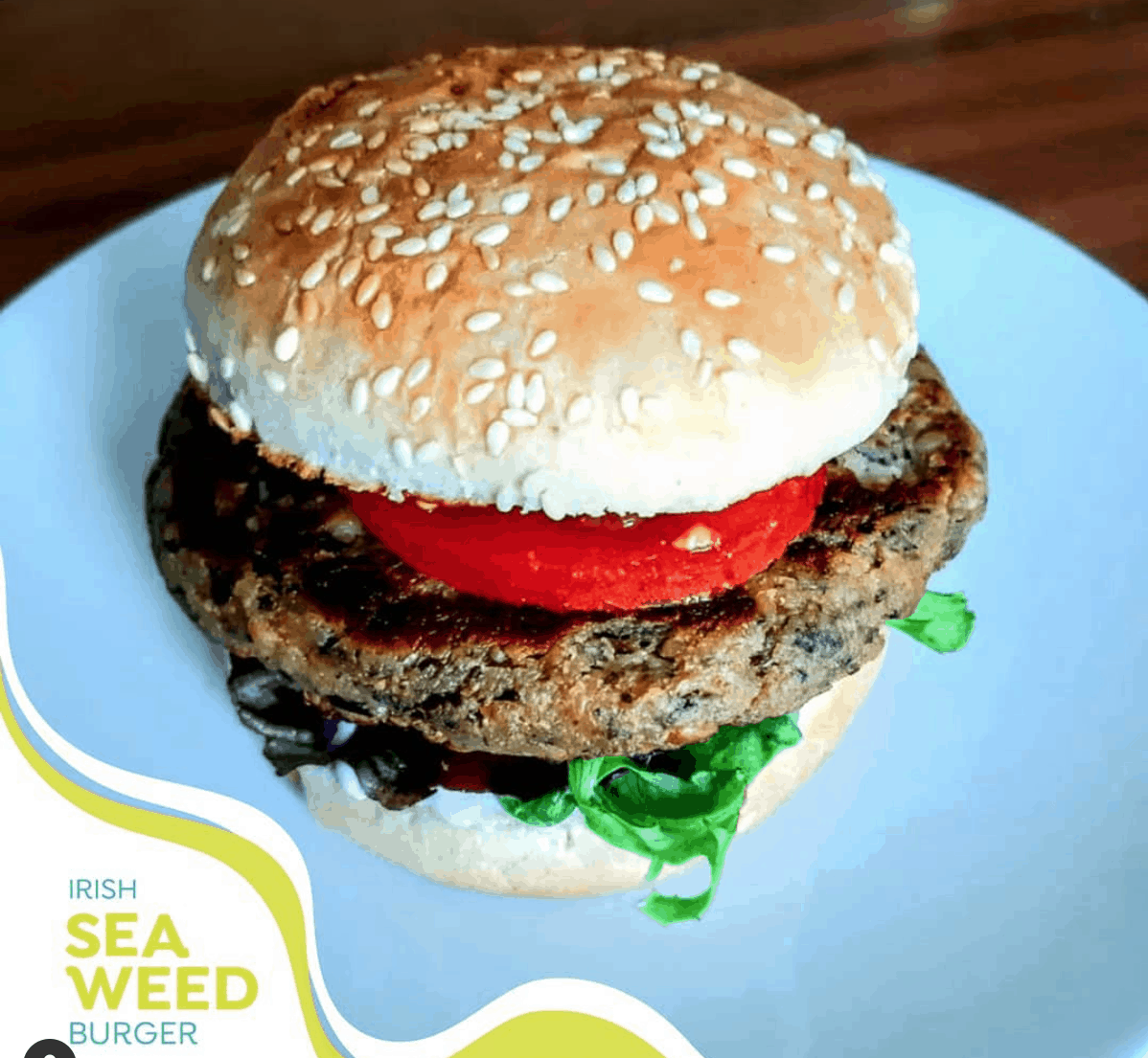 Plantruption sea weed burger