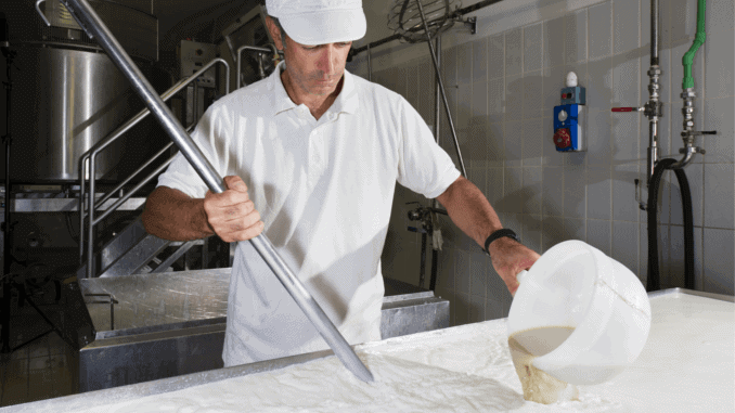 Marktforschung für veganes Lab Marktforschung für veganes Lab