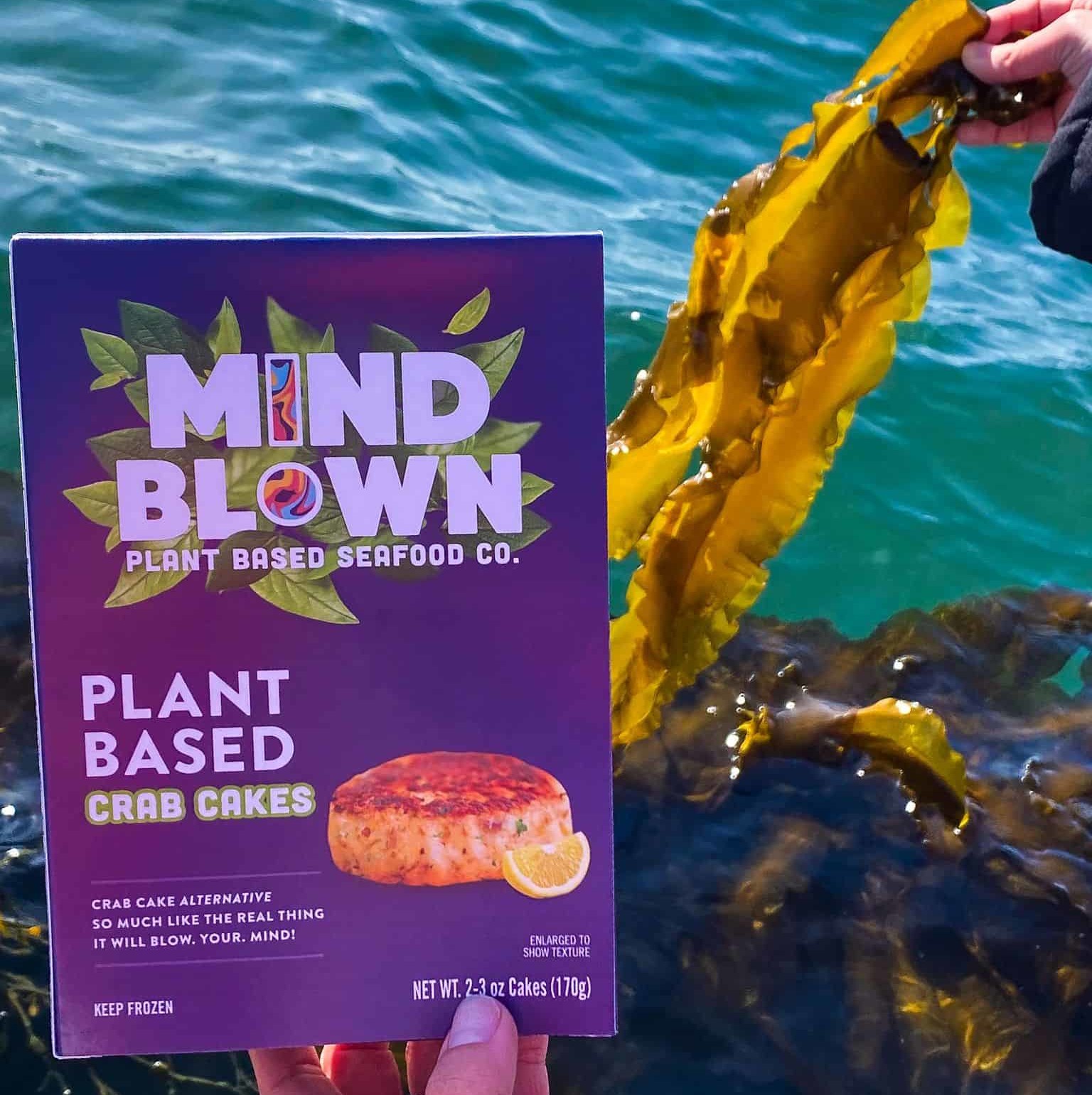 Mind Blown w/ Kelp Seaweed