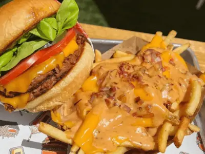 Nomoo Cheeseburger and Fries