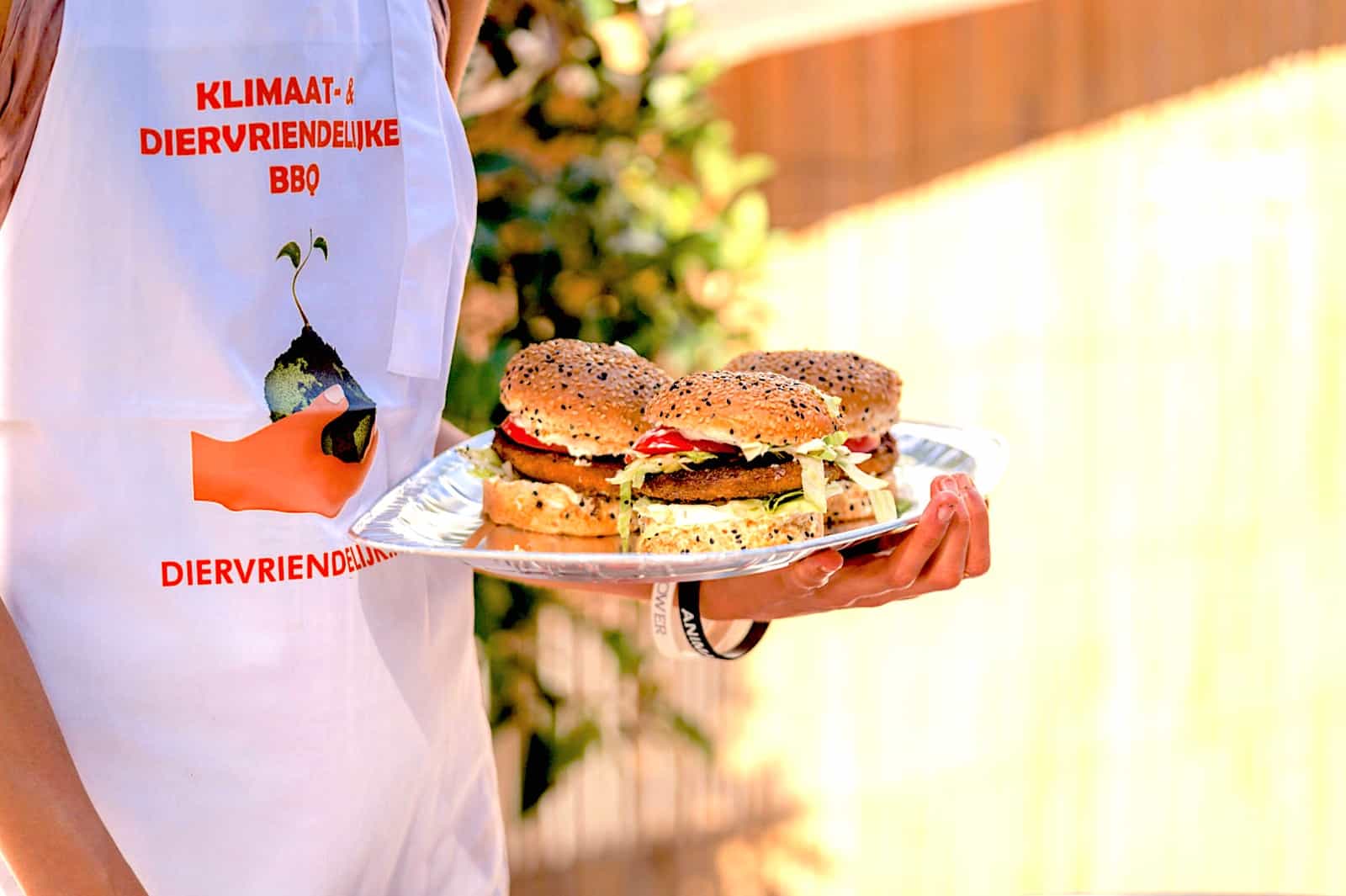 Annual vegan BBQ Parliament The Hague