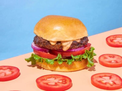 Planet Based Foods Hemp Burger