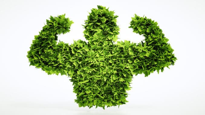 plant man plant man