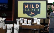 Beyond Sushi Obtains 1 5 Million From The Shark Tank Vegconomist The Vegan Business Magazine