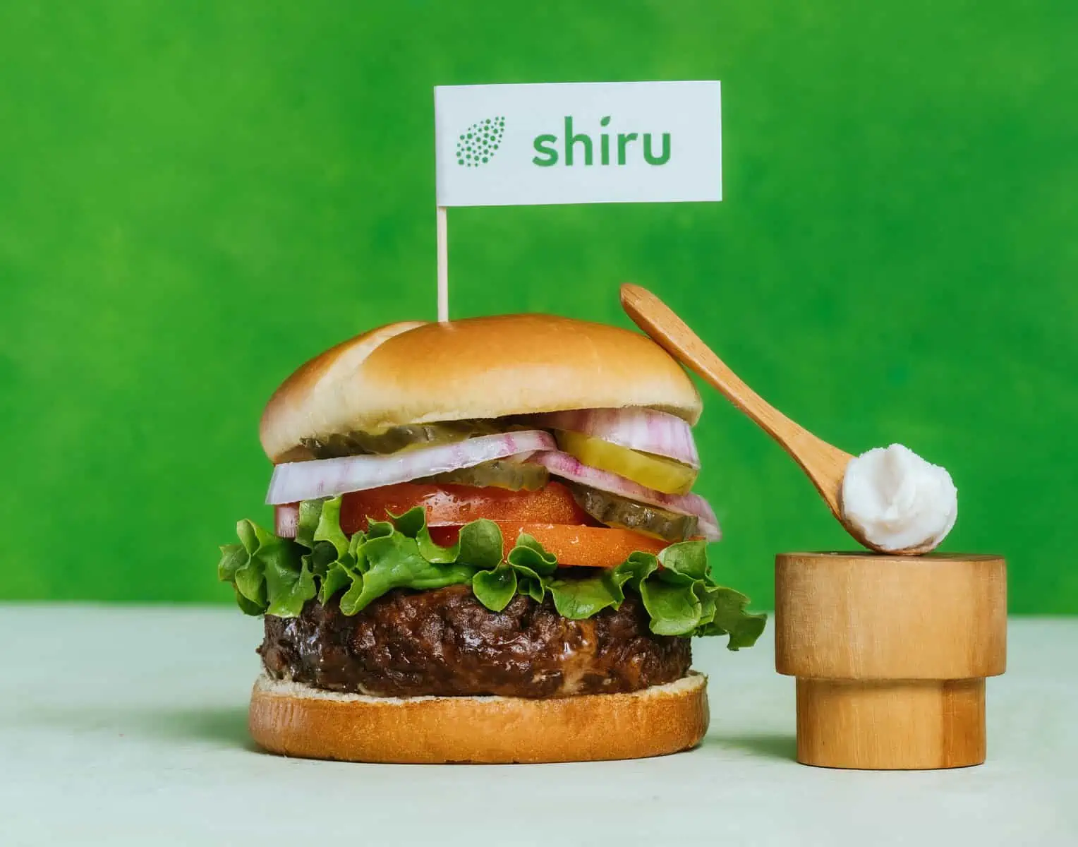 plant protein-based fat by shiru