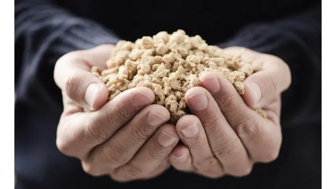 texturized vegetable protein