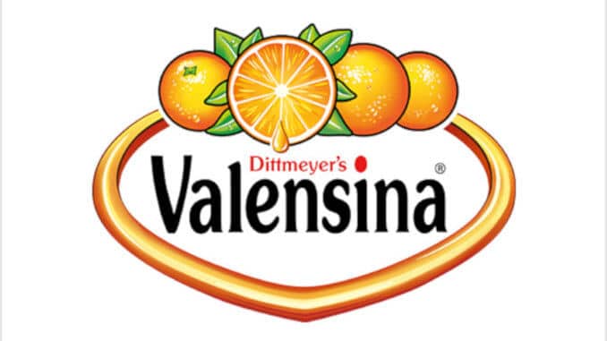 valensina logo valensina logo