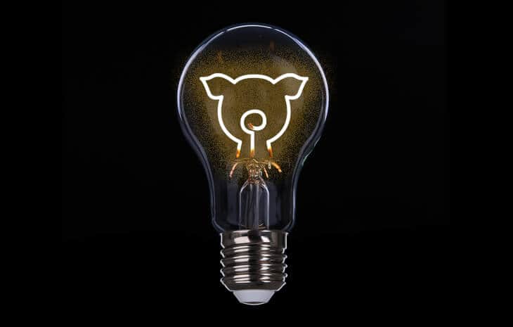 vegan electricity