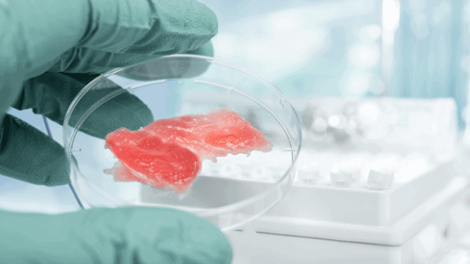 kulitivertes Fleisch (in-vitro-fleisch) im Labor kulitivertes Fleisch (in-vitro-fleisch) im Labor