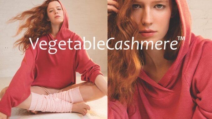 kd new york vegetable cashmere kd new york vegetable cashmere