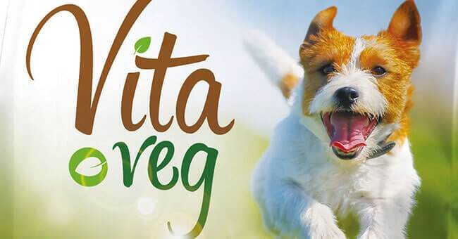 vita_veg vita_veg
