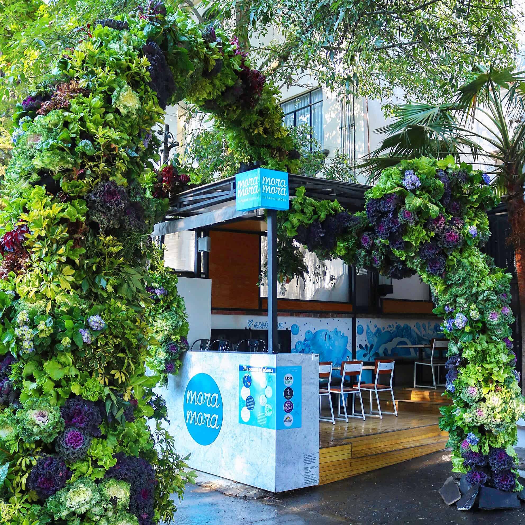 México Mora Mora Sigue Conquistando el Mercado con sus Restaurantes y